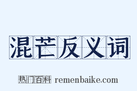 混芒反义词是什么意思的图片